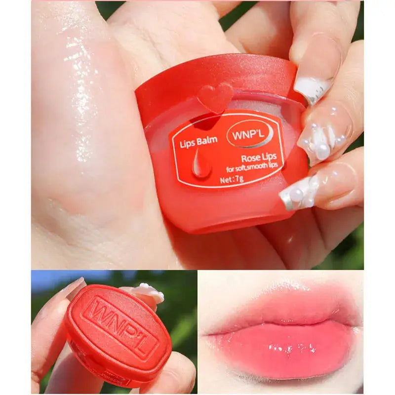 New 4/6/8pcs Moisturizing Lip Balm Sets Lipstick Makeup Natural Plant Base Moisturizer Lip Balm Anti-Cracking Lips Skin Care theelegancejewellery