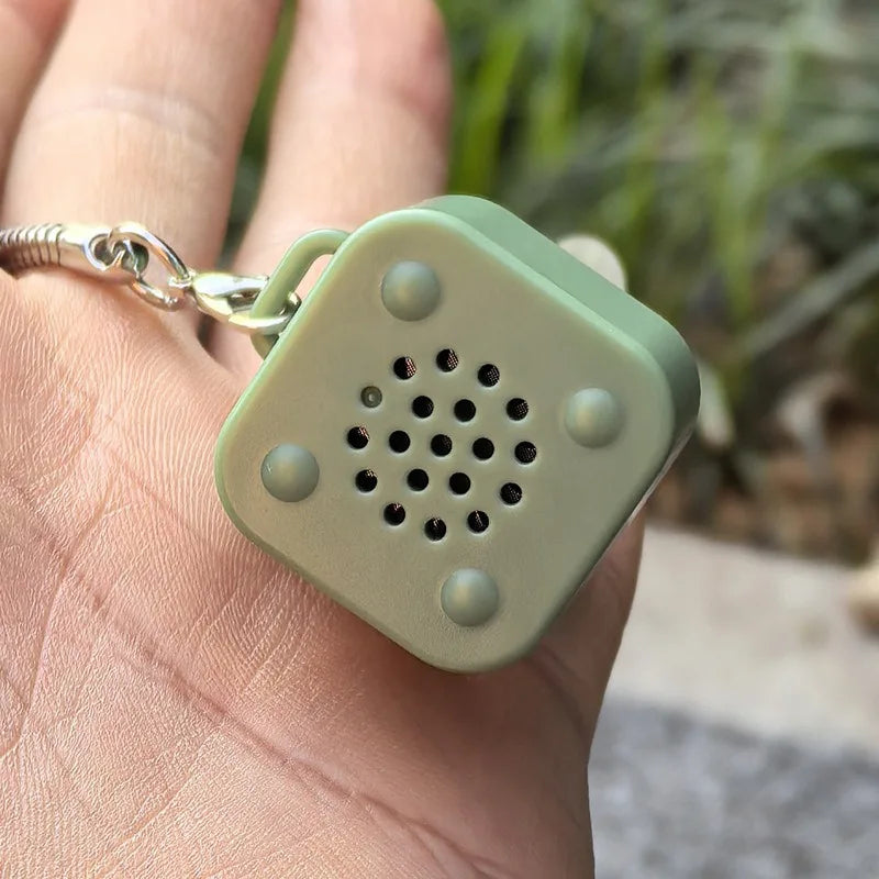 Rechargeable Frog Keychain Croaking Sound LED Light Fidget Clicker Toy Stress Relief Gifts for Men Women Kids Party Favors