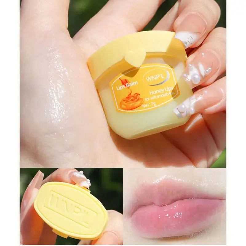 New 4/6/8pcs Moisturizing Lip Balm Sets Lipstick Makeup Natural Plant Base Moisturizer Lip Balm Anti-Cracking Lips Skin Care theelegancejewellery