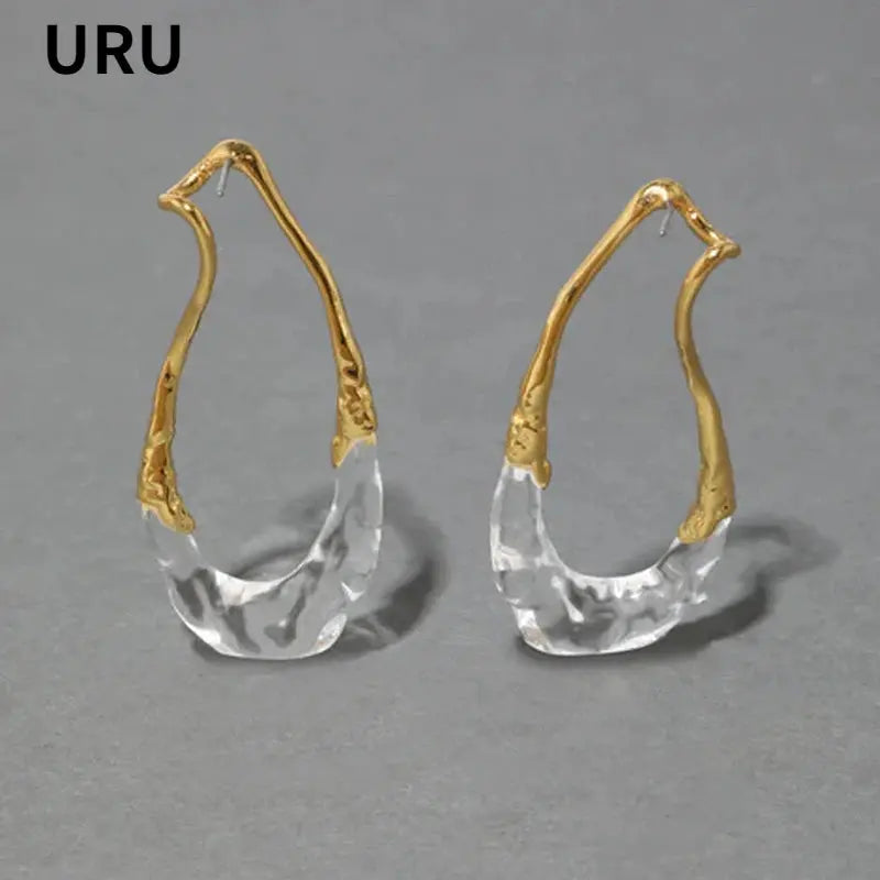 Fashion Jewelry European and American Design Irregular Earrings For Women Party Gifts Exaggerative Accessories 2025 Trend New theelegancejewellery