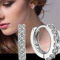 Fast Ship Newest Luxury Romantic Women Jewelry  Plated Rhinestone Crystal Hoop Earrings For Women Wholesale theelegancejewellery